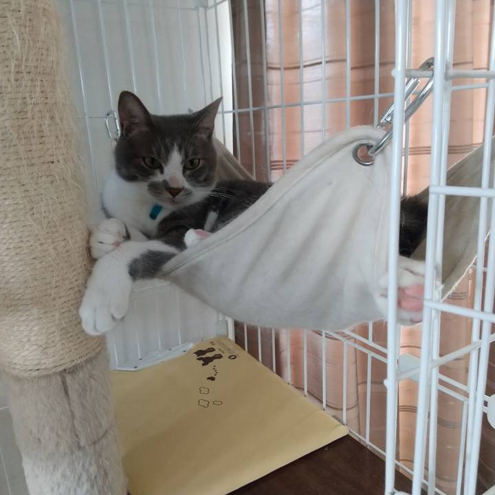 B03b9e18 69cb 45e3 a6de 00793349c8ee 1621997231832