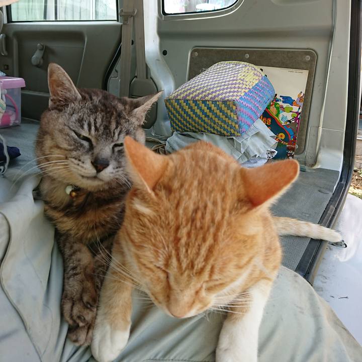 B03bb49a 25a0 4383 ab57 6e1e33b72bb4 1593325564926