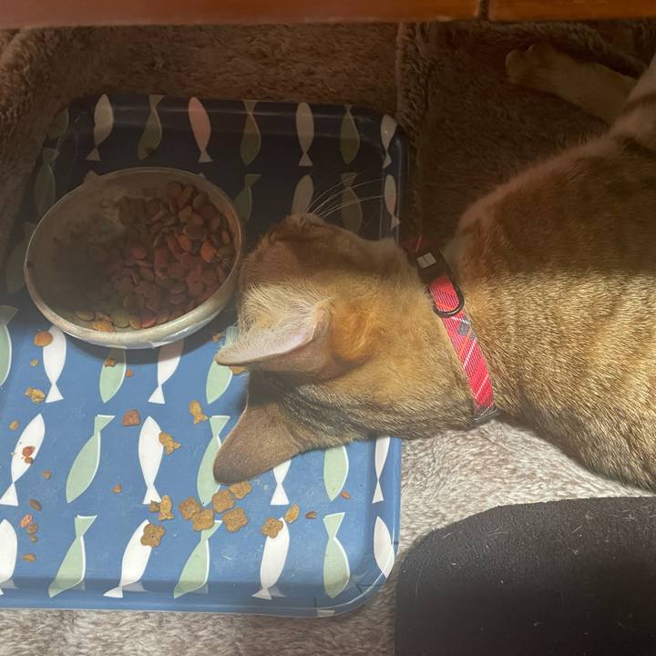 B03bb7c4 822e 449b b570 51bf568dbd9e 1743908133725