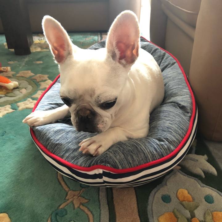 B03be72a 797b 491b aa4b 815116a7244b 1592549547102