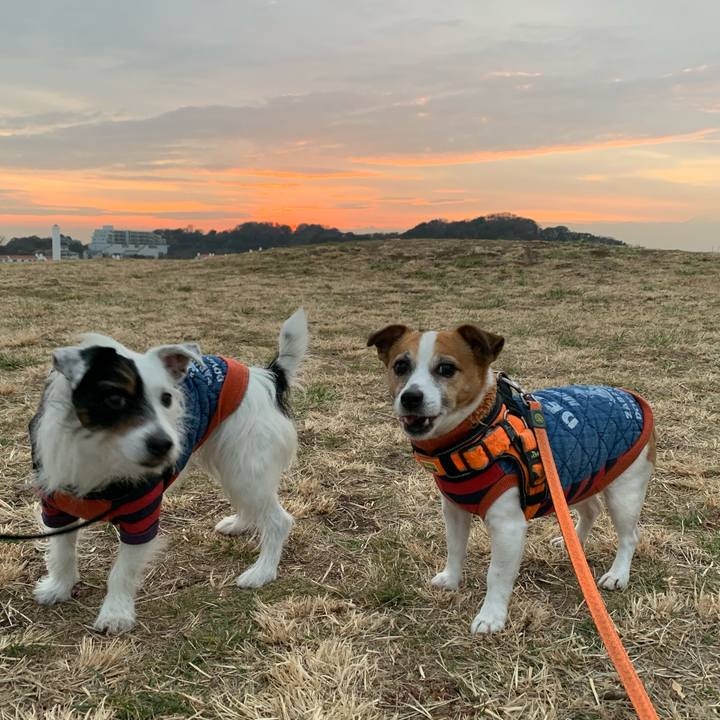 B03c23f2 11f9 431e 84bd cfbcf65bf0fd 1611650415022