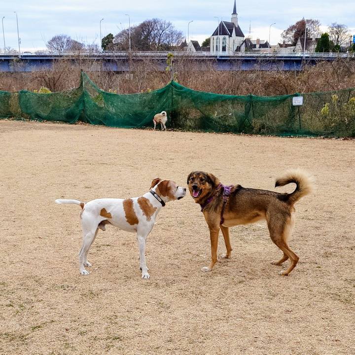 B03c6415 51c5 4bf3 9592 bcd2b5005dca 1766193350714