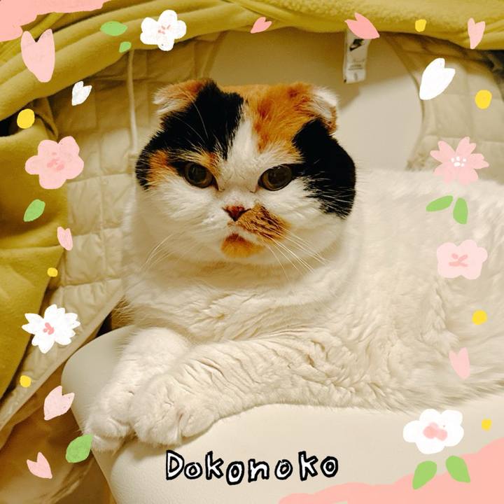 B03c80ac ed2a 42b3 a2f5 cbcab1ef9d35 1711027028922