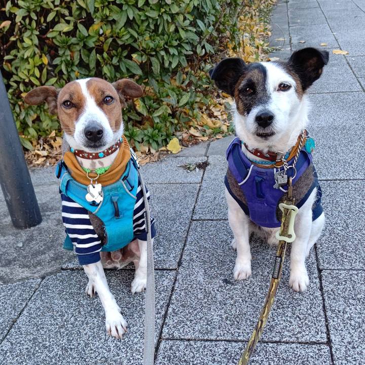 B03c8b36 a585 4afa 9eaa fc3bdb0a3664 1640127395087