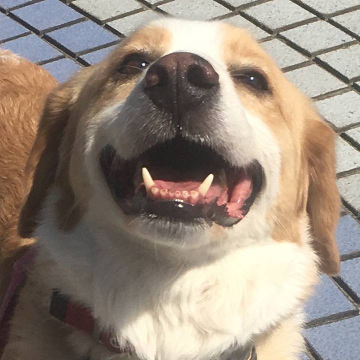 B03cb803 ce5d 4b71 b9bc 90e58bb72349 1525656205047