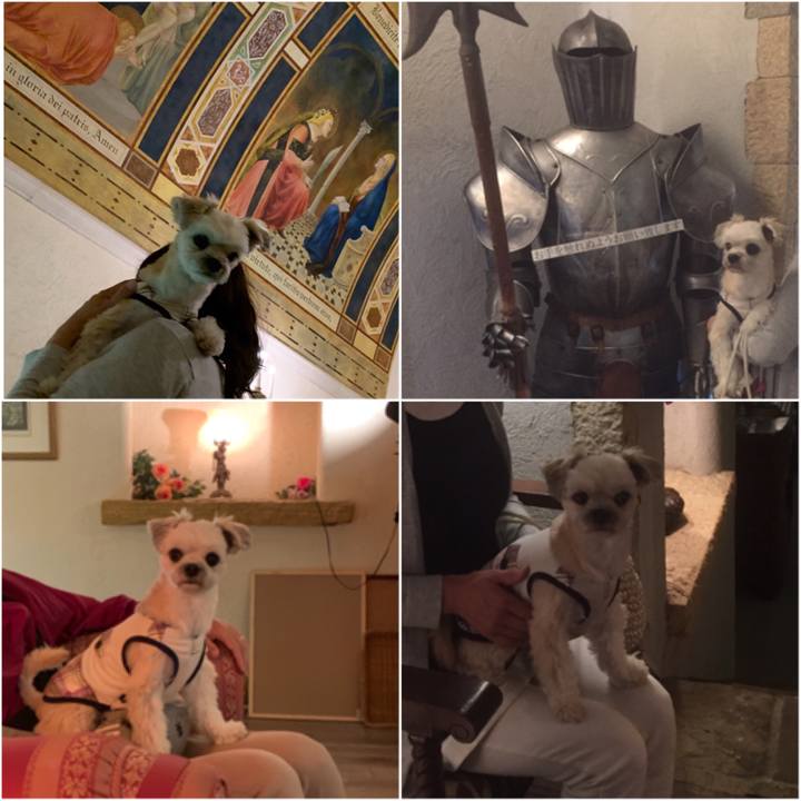 B03cd31b a8c9 4472 bc77 9b52e0a7b495 1560587163166