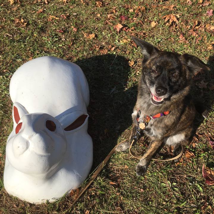 B03cde02 3e66 462f 9650 b9ec56c5ffa9 1510323773335