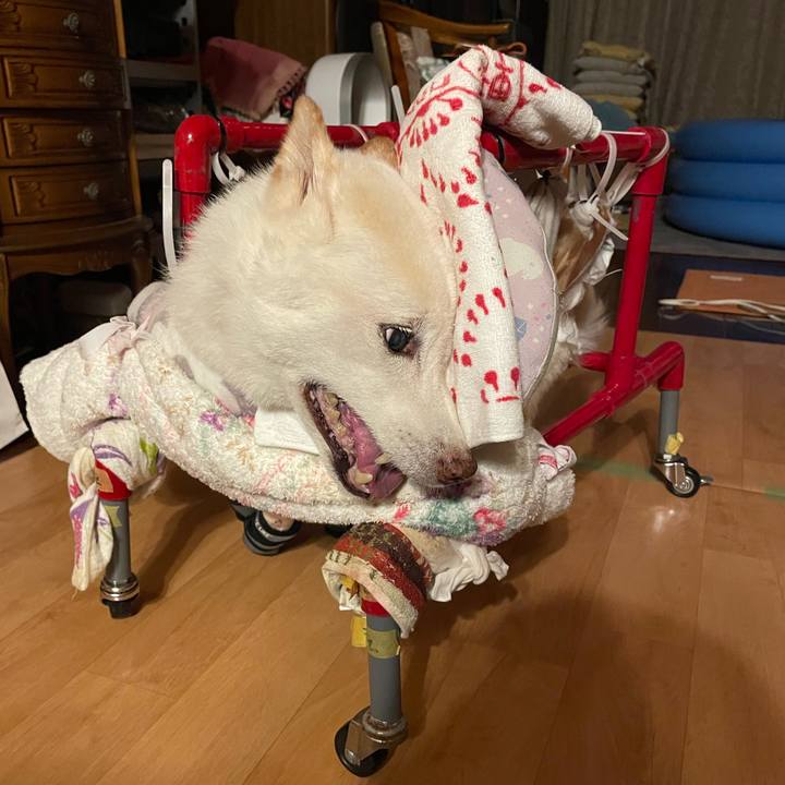 B03cef2e 06cc 49a5 bdb9 662b5ff31d9d 1694107209157