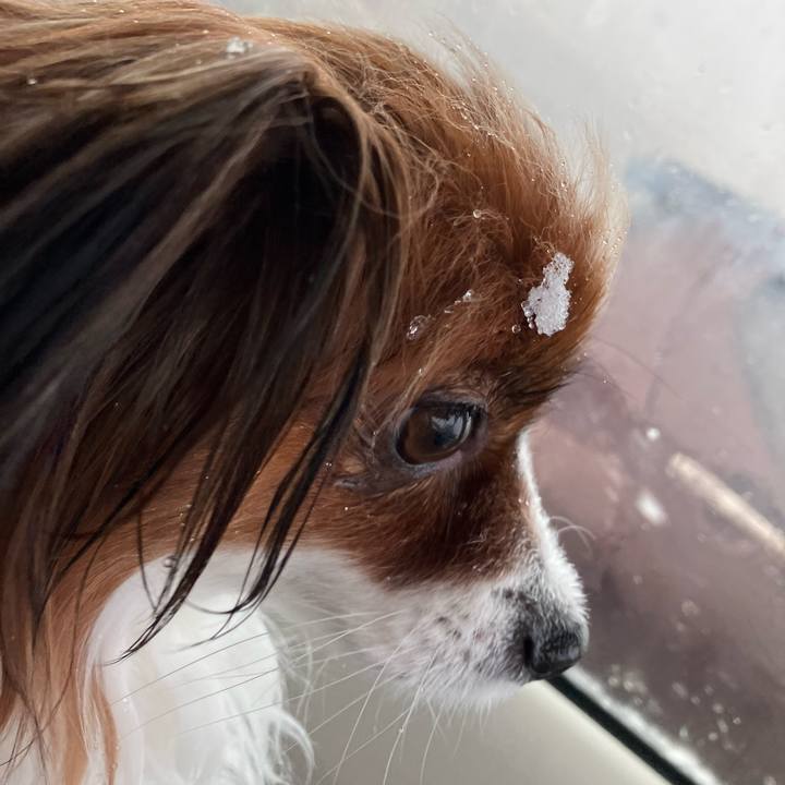 B03d1829 da7f 4cf7 ad7e 6a75421d2d52 1732951748872