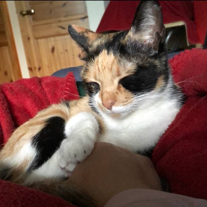 B03d2c87 4981 468f 98f0 98bb1079d1e9 1525589446813