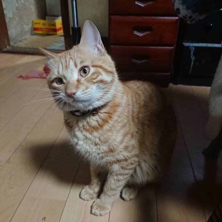 B03d520e 8afb 4d07 8a5c a81a37c03237 1646820644144