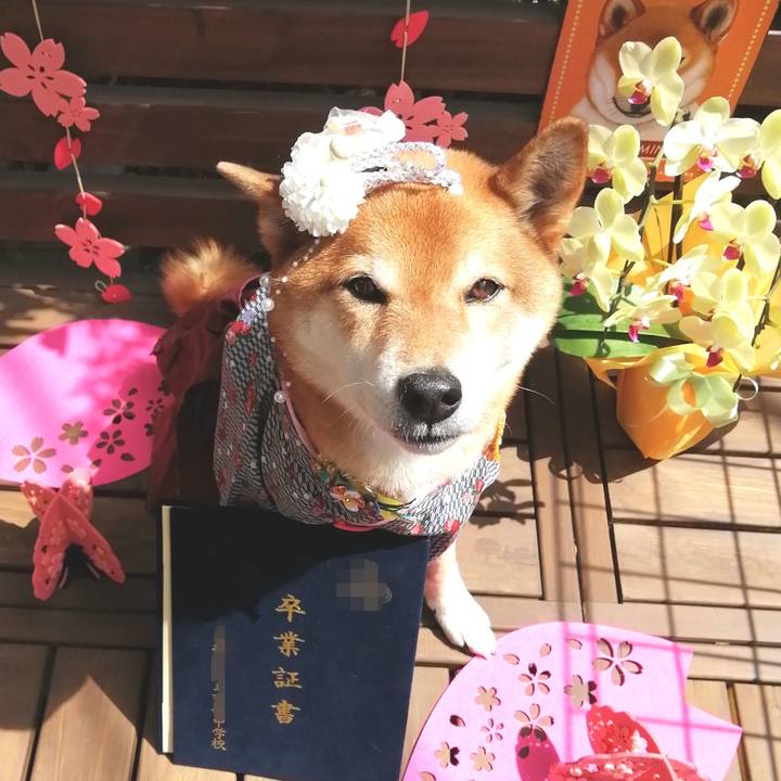 B03d7d8b 3db5 46a5 92cb dcedfdc31391 1617160486811