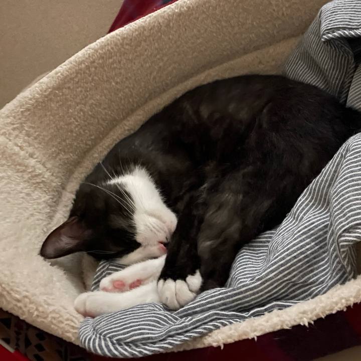 B03d9200 a82e 4df4 93e4 5f1e761c43de 1625888263243