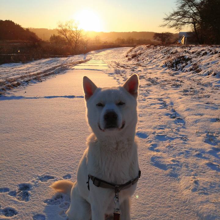 B03da615 7932 4c40 8b2e e88f580e564c 1641556949696