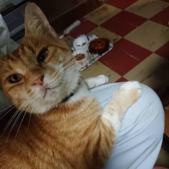 B03e1d73 7bc9 44b9 8e3b e6194a68f812 1594898063395