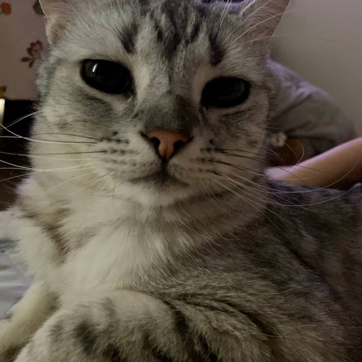 B03e2460 b88c 4fcb 9fe6 19743b7755aa 1593390979941