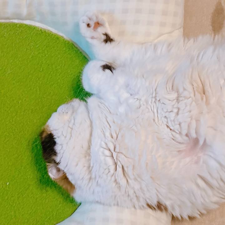 B03e3440 48e8 4225 b654 91a52d7457cc 1734340947877