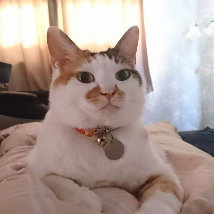 B03e77c2 937d 4832 9aa3 d44411628257 1561073161072