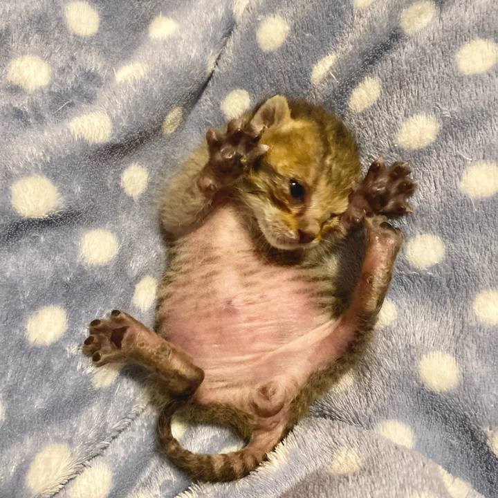 B03e80bd e25b 421f a456 51e7f1ebb401 1618664946880