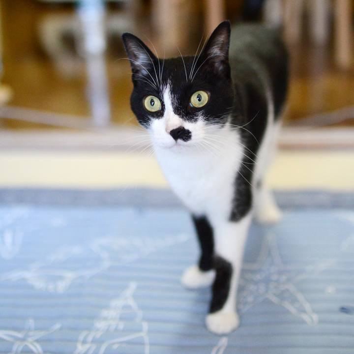 B03ec579 0d4c 4139 81c7 2f746b540b09 1532231303692