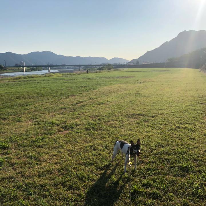 B03eebbb 5907 41e2 b047 2cf47078ffc5 1565387319458