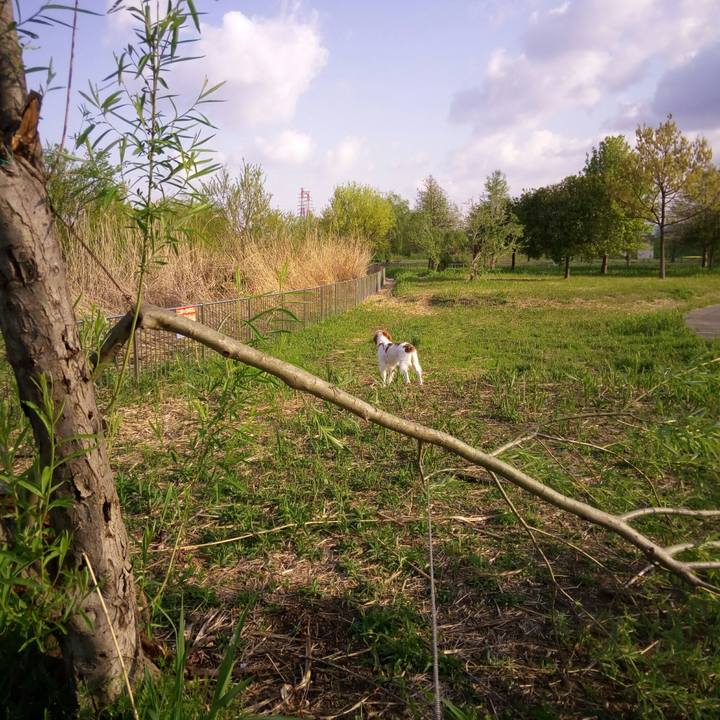 B03f0814 aec5 43b1 95cc 80527b3daf4b 1523148621509