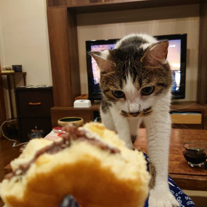 B03f3fb4 bc4e 4f76 8332 3273ad3a1178 1628771163403