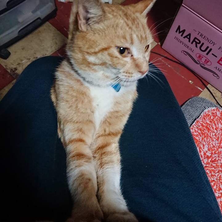 B03f6e6d bc83 40f7 afa2 1c9e43e32b30 1556309067574