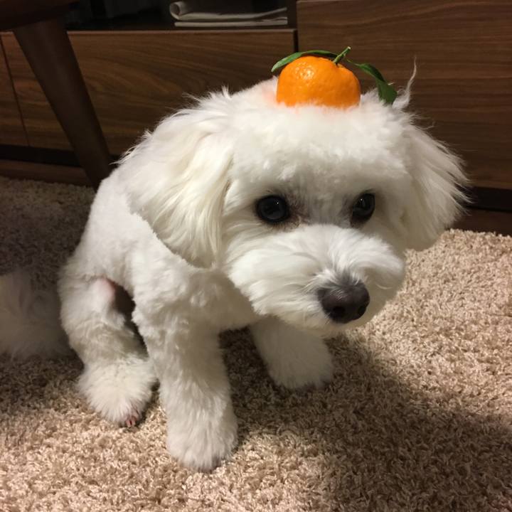 B03f836f fece 475b b9ea c03380ab58da 1514975151841