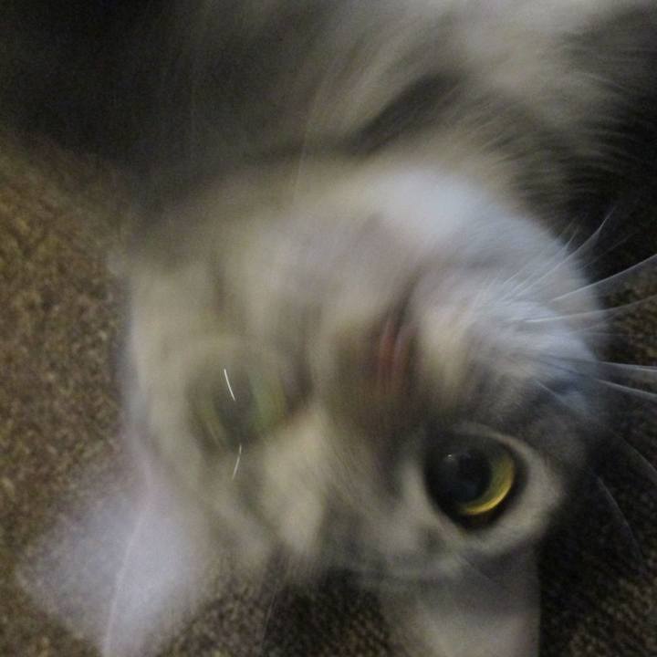 B03fbae8 9b38 4ee2 a4d0 828bcc68d883 1568601771335