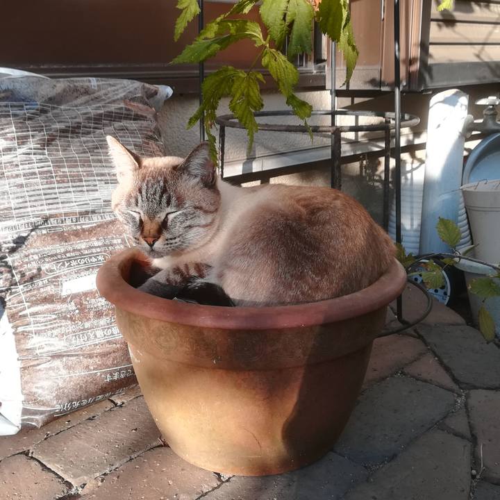 B03ffcfd 9df0 4288 9239 fb0ec8b55b87 1603441993260