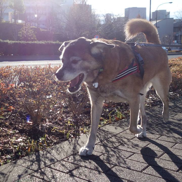 B0400457 eeaa 4951 9501 11940dfad46d 1545613960381