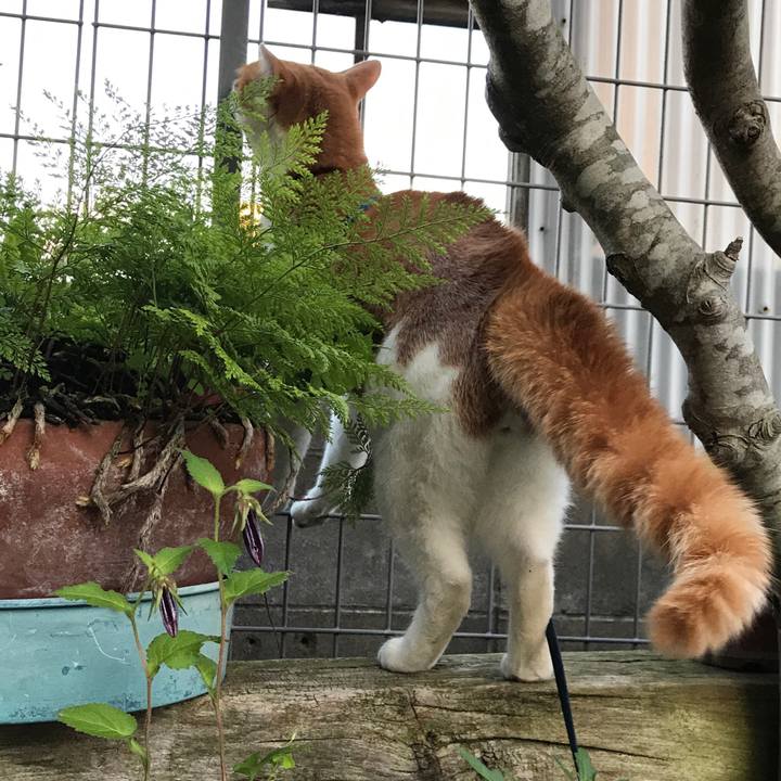 B0400557 62ce 481a b96d 3c263e65678a 1527848989454