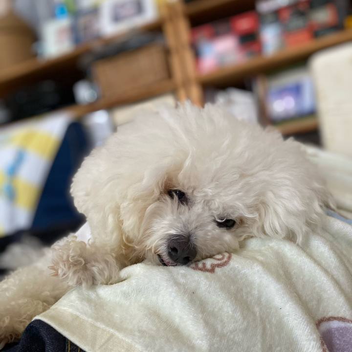 B0401400 90b9 4719 ac75 371d1c8eadd1 1736228415329