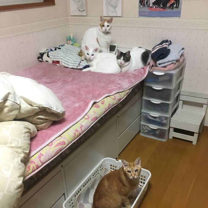 B040338d 3680 4459 9794 5e26f397c204 1542461346831