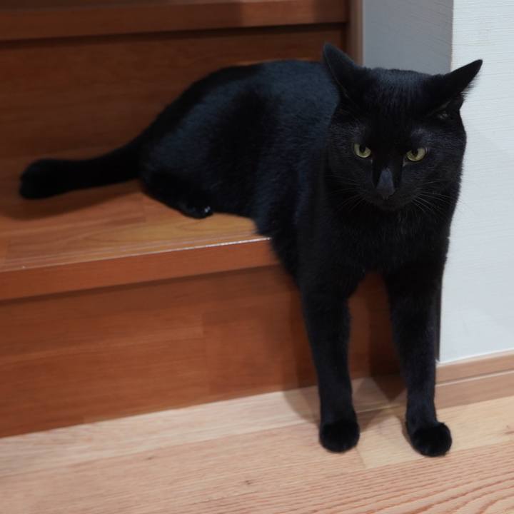 B0404391 2df7 4d05 b108 7e0e66454ce6 1597326114035