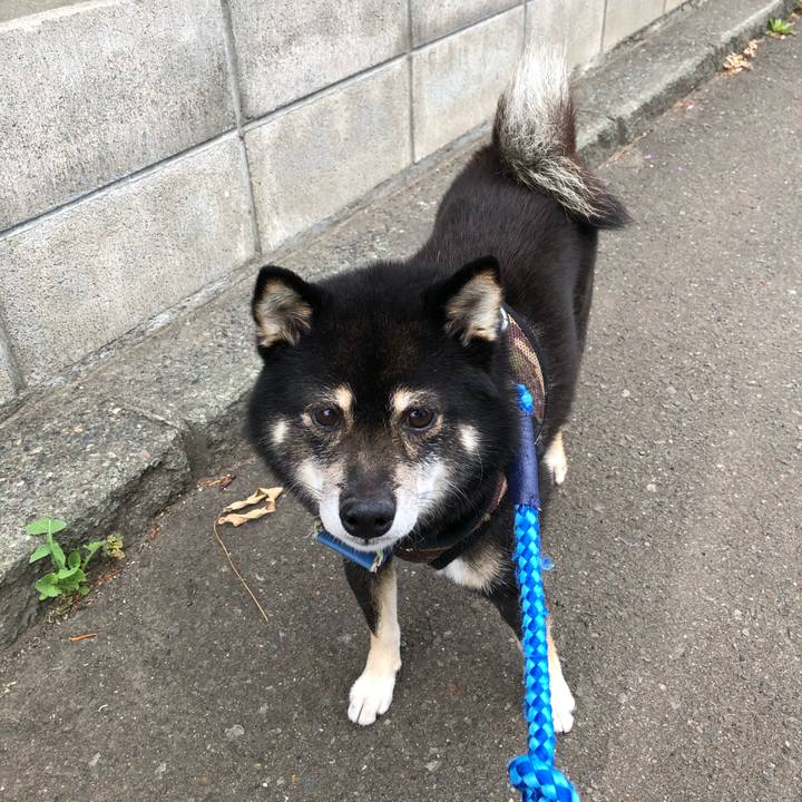 B04043b4 b645 4e30 95a9 06116ef05738 1598008539402