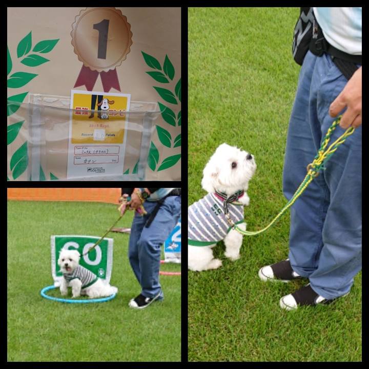 B0407998 0a12 4a8b 860d eca49dedb0f8 1537620804902