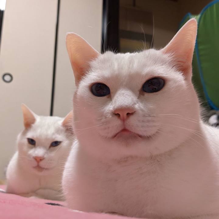 B040b6c5 49f0 4c91 9bb8 2e8ed23afc30 1674561371837