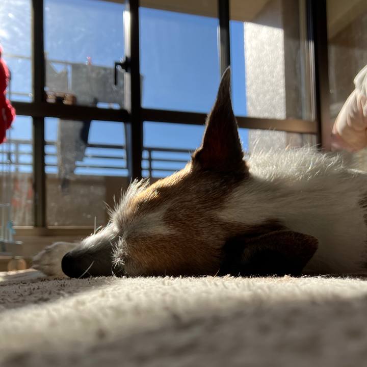 B040cba9 45a3 423d ae57 85cdfa819824 1736037336173