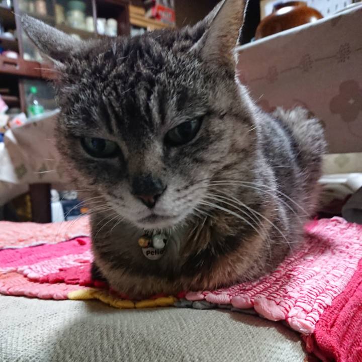 B040cf4a 4afc 44d9 90ad e72447b39e7e 1560251093749