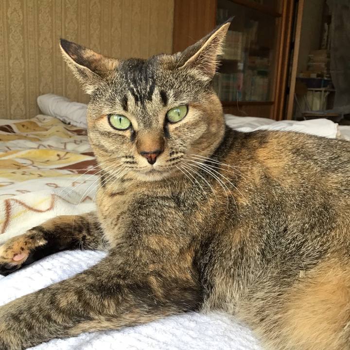 B040df05 0e76 4efb 8154 5393beb35011 1683277094121