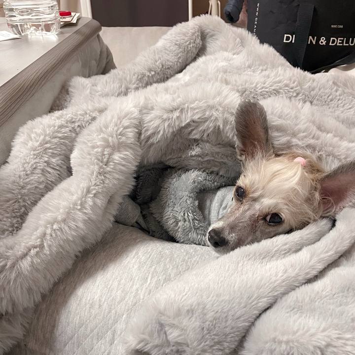 B040e311 0859 4252 bb87 adc63e98f916 1768463150985