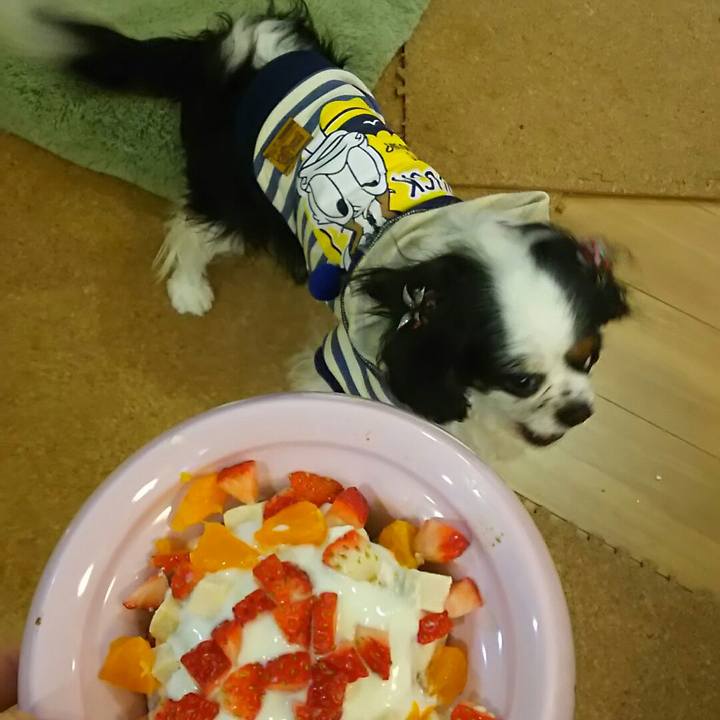 B040ee79 bad0 4c63 868b 6f734e515b5e 1546778092409