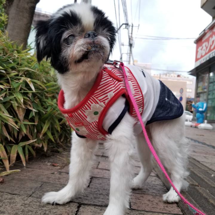 B040ef0d ae5c 4626 a634 7c2202b124cf 1632748490909