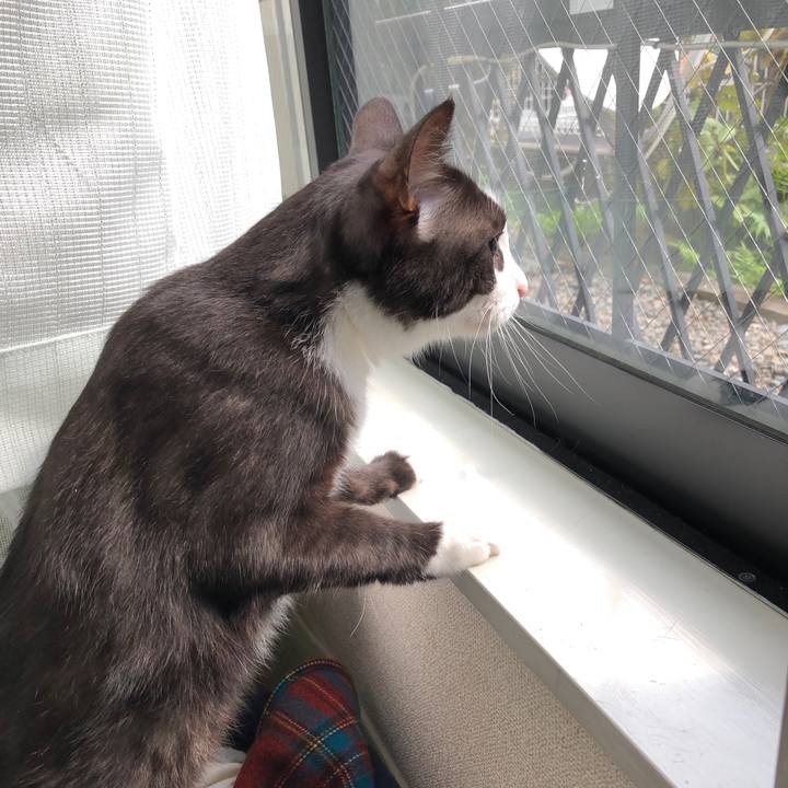 B040f436 9560 42d4 a2b1 6b81eebad162 1603061541666