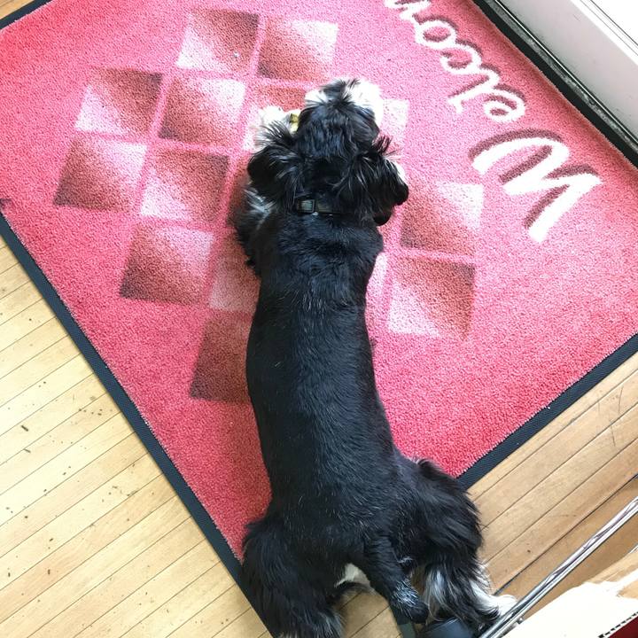 B040fef1 bf62 4ca5 b5c2 834d251a7af6 1560320649421