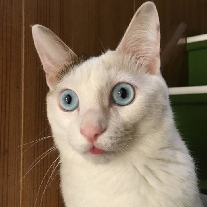 B040ffdb 7ea7 4a09 9996 61fc0bd9d9c7 1509580196024