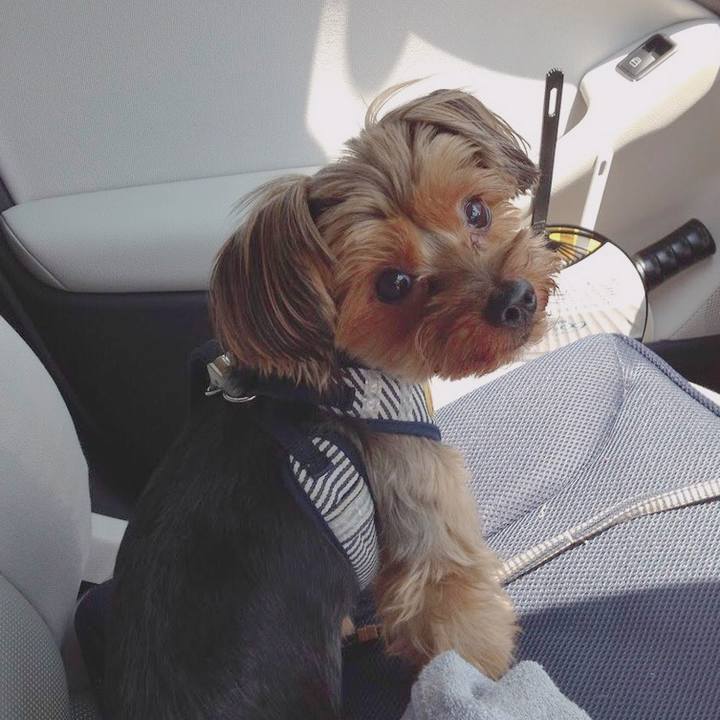 B0410c73 f63b 4d86 8b12 11fb69f5df70 1543054949505