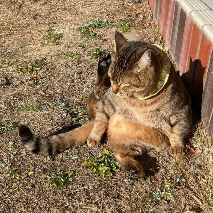 B0414c6d 9eba 492f aeab 93290d502225 1767782004459